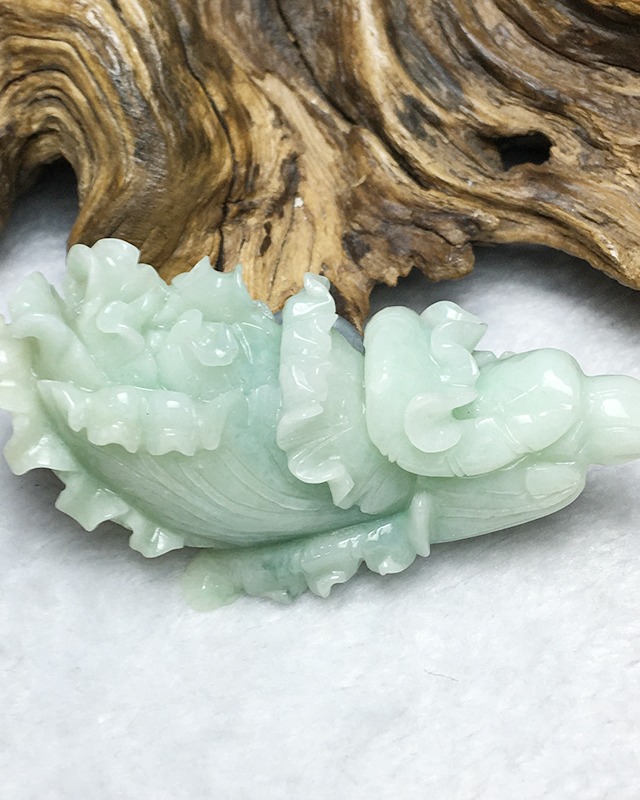 百财聚来