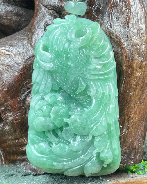 凤凰于飞