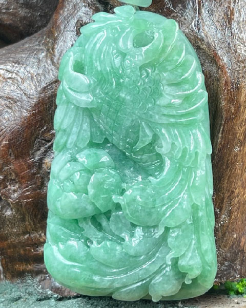 凤凰于飞