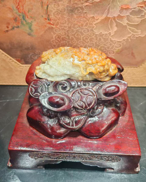 龙龟